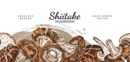 Bannière avec bordure transparente de champignons shiitake au format vectoriel et avec zone de texte. Idéal pour le texte sur les arts culinaires végétariens et asiatiques avec un accent biologique.