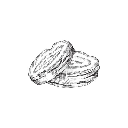 Ilustración de Una ilustración esbozada de hongos Portobello apilados, capturando su textura y forma únicas. Ideal para uso culinario y educativo. Ilustración vectorial. - Imagen libre de derechos