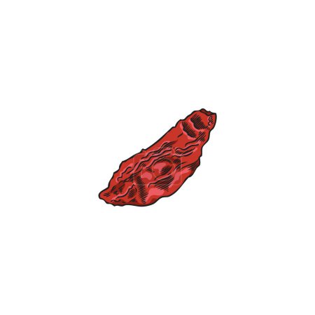 Single dried goji berry. Vector illustration showcasing the wrinkled texture of this health-boosting, dried superfruit.