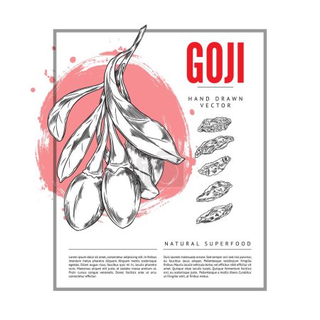 Bannière dessinée à la main sur le style de croquis de goji berries superfood, illustration vectorielle isolée sur fond blanc. Design décoratif avec place pour le texte, la plante biologique, la nature