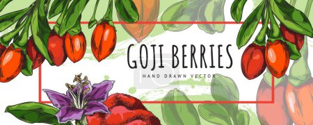 Illustration for Goji berries. A bright banner depicting the fruits and flowers of Chinese wolfberry. Ideal for cards, invitations or promotions with text space. Brush strokes add a dynamic background. - Royalty Free Image