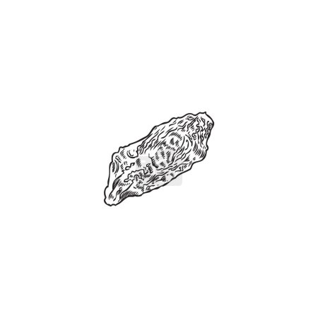 Ilustración del vector botánico, dibujado a mano: una baya goji liofilizada en blanco y negro. El icono sobre un fondo blanco es ideal para el tema de la nutrición dietética y la atención médica.