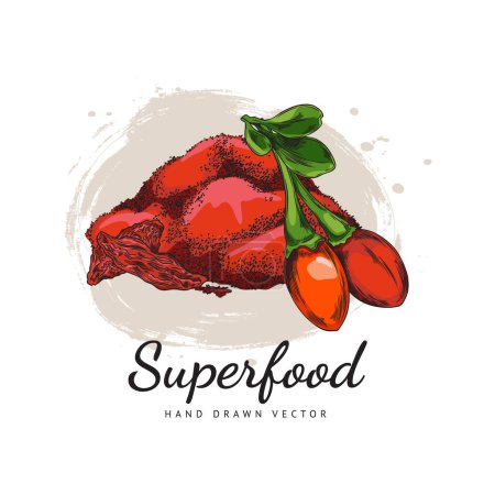 Fresh and dried Goji berries and sugar food product hand drawn vector illustration. Natural fruit flour ingredient sketch. Organic healthy superfood milled fruit plant isolated on white