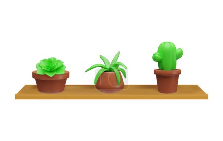 Grüne Sukkulente in braunen Blumentöpfen auf einem 3D-Vektor im Holzregal. Aloe, Kaktus und Echeveria Topfpflanze 3D-Renderillustration. Karikatur tropischer exotischer Pflanze. Natur oder Kunststoff Wohnkultur, Botanik