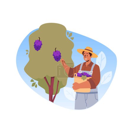 Illustration for Agriculture and winemaking. Vector illustration of a smiling farmer harvesting grapes in a vineyard, with a basket full of grape bunches. - Royalty Free Image