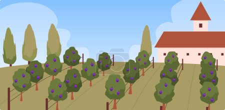 Finca idílica del viñedo. Ilustración vectorial que muestra filas pulcras de vides, cipreses y una villa clásica bajo un cielo azul suave.