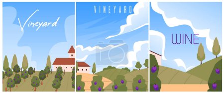 Illustration for Vector illustration of a vineyard landscape. A collection of posters with an empty space for text depicting ripe grapes, plantation fields with old houses, trees, and green hills. - Royalty Free Image