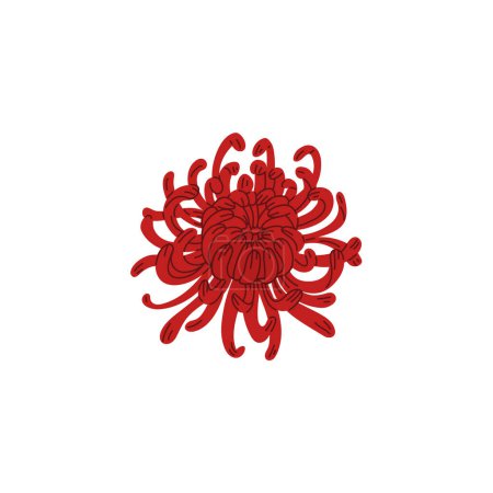 Flor de Higanbana. Planta de lirio exótico es de color rojo brillante. Un elemento de decoración en producciones japonesas de kabuki teatrales. Ilustración vectorial plana aislada. Lirio araña para el diseño.
