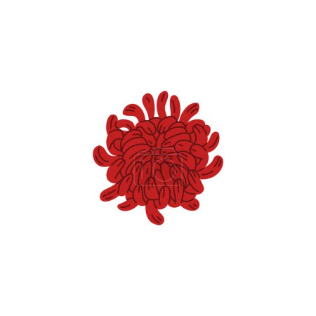 Diseño intrincado de crisantemo rojo, comúnmente utilizado en el arte kabuki, representado como una ilustración vectorial