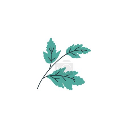 Higanbana leaves. Vector illustration of a branch with green leaves of the higanbana plant, used for decoration in Kabuki theatrical performances. Spider lily foliage element on isolated background.