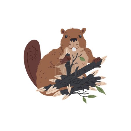 Illustration of a beaver: charming beaver with a flat tail, holding logs with leaves in its paws. Vector image of a semi-aquatic mammal on a white background