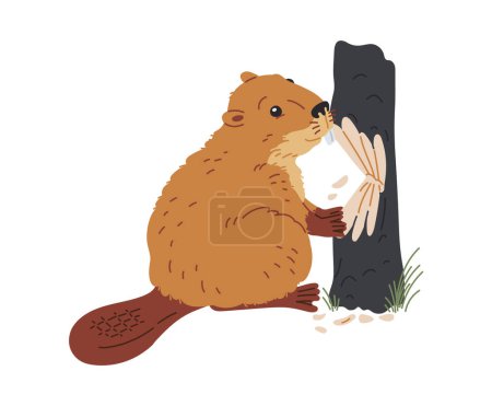 Cute beaver chewing wood flat vector illustration. Cartoon wild rodent animal eating, gnawing tree trunk isolated on white background. Fauna design