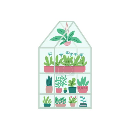 This vector illustration beautifully captures a miniature greenhouse with neatly organized layers of various green potted plants and hanging foliage, encapsulated in a clear glass structure