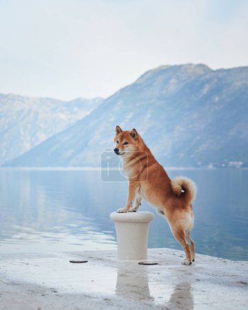 A Shiba Inu dog stands majestically on a pedestal, overlooking a lake with mountains in the background. Pet pose and the serene landscape embody a spirit of adventure and exploration