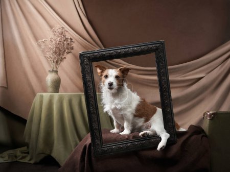 Jack Russell Terrier posiert mit einem kunstvollen Rahmen, klassischer Drapierkulisse. Der balancierte Hund verleiht dem Vintage-Ambiente Charme und schafft ein zeitloses Haustier-Porträt