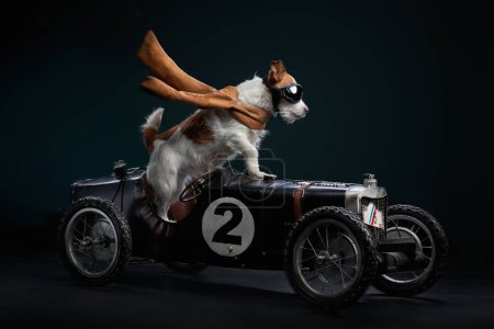 Foto de Un perro Jack Russell Terrier, adornado con una bufanda voladora y gafas, comanda un sidecar de motocicleta clásico - Imagen libre de derechos