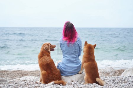 A person, a Nova Scotia Duck Tolling Retriever, and a Shiba Inu enjoy a serene moment, overlooking the sea together