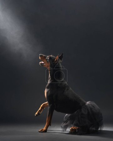 Ein eleganter Standard-Pinscher-Hund nimmt eine dynamische Pose ein, geschmückt mit einem zarten Tutu, das in atmosphärischen Nebel gehüllt ist.