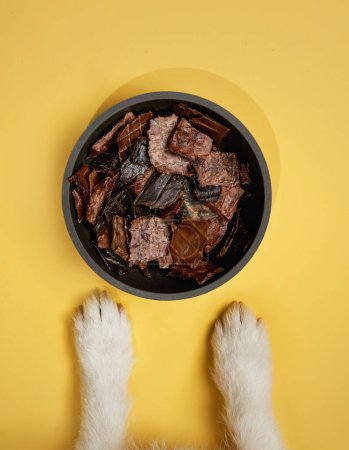 Las patas flotan sobre un plato lleno de deliciosas golosinas para perros, lo que sugiere un momento de anticipación