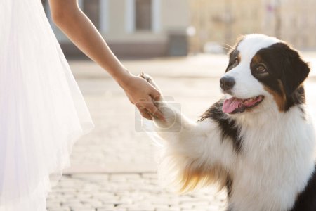 tender moment with her Australian Shepherd Dog, who gently holds her hand in a sunlit urban square