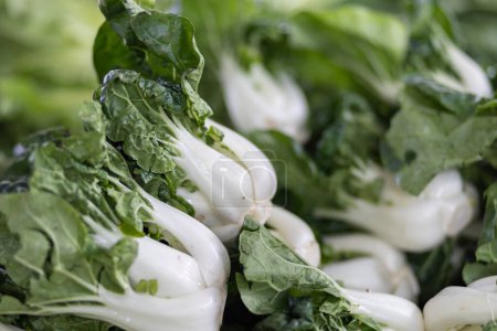 Photo for Close-up image of fresh vegetable on fresh market - Royalty Free Image