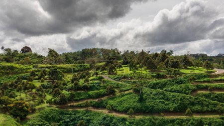 Téléchargez les photos : Belle vue paysage nature avec grande ferme durienne - en image libre de droit