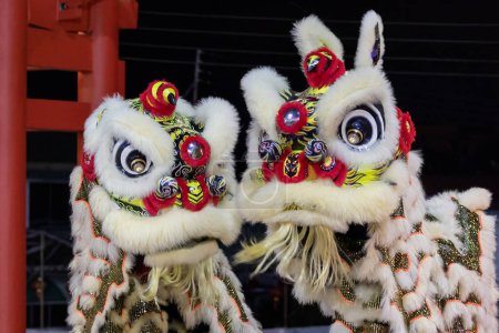 Téléchargez les photos : Spectacle de danse du lion pendant le festival du Nouvel An chinois à Kota Kinabalu City, Sabah, Malaisie pendant la nuit - en image libre de droit