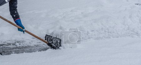 Téléchargez les photos : Jeune homme pelletant la neige du sentier pédestre en hiver - en image libre de droit