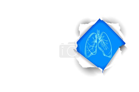 Téléchargez les photos : Illustration d'organe humain, poumons, système respiratoire - en image libre de droit