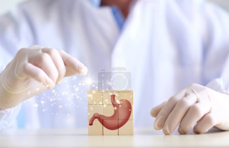 Téléchargez les photos : Organ stomach 3D, healthcare,anatomical model of stomach on wooden cubes - en image libre de droit