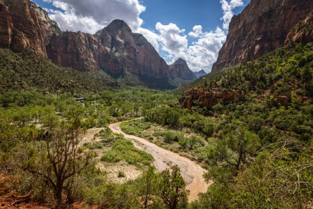 Téléchargez les photos : Le paysage à couper le souffle dans le canyon verdoyant du parc national de Sion où la rivière vierge coule à travers le paysage, Utah, États-Unis - en image libre de droit