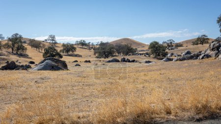 Téléchargez les photos : Terres agricoles desséchées avec herbe d'or jaune et collines ondulantes à la fin de l'été de Californie, États-Unis - en image libre de droit