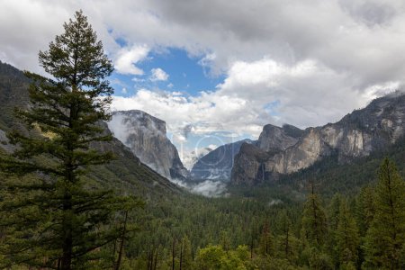 Téléchargez les photos : Vallée dans le parc national Yosemeti avec des conifères, nuages bas, ciel nuageux et taches de brouillard, Californie, États-Unis - en image libre de droit