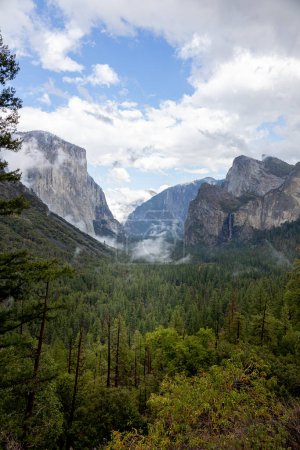 Foto de Valle en el Parque Nacional Yosemeti con coníferas, nubes bajas, cielo nublado y manchas de niebla, California, EE.UU. - Imagen libre de derechos