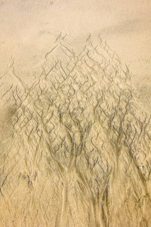 Foto de Patrones y rayas en la arena de la playa causadas por el agua contaminada del mar, que también parece una forma de arte, California, EE.UU. - Imagen libre de derechos