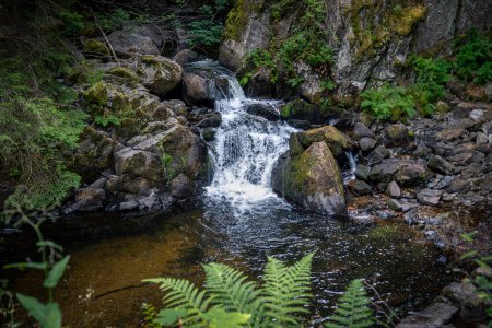 Foto de Los hermosos bosques, arroyos y cascadas en la zona de los Vosgos franceses, esta foto tomada en la llamada 'cascada Saut des Cuves' - Imagen libre de derechos