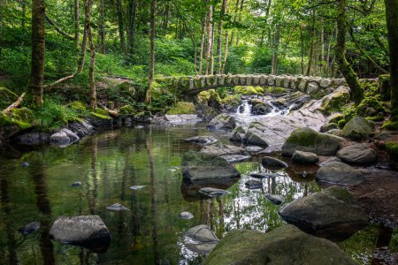 Photo for Beautiful stone bridge over the river at the waterfall of 'saut des cuves' close to the town of Xonrupt-longemer in the French Vosges - Royalty Free Image