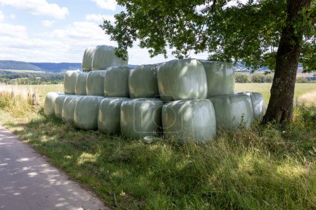 Téléchargez les photos : Balles de foin enveloppées dans du plastique vert, récoltées et prêtes à servir de fourrage pour les périodes hivernales, région luxembourgeoise Mullerthal - en image libre de droit