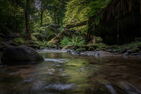 Téléchargez les photos : La belle nature dans la région de Mullerthal au Luxembourg, à proximité du village Beaufort avec les forêts verdoyantes rochers mousseux et rivières et ruisseaux sinueux - en image libre de droit