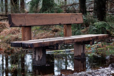 An abandoned wooden bench, flooded by climate change, in the forests of the Dwingeloo national park, province of Drenthe, the Netherlands
