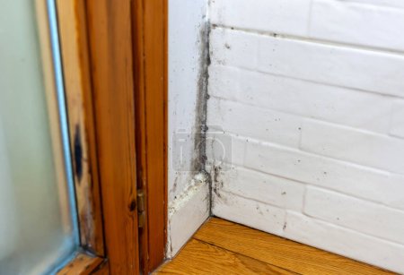Téléchargez les photos : Condensation mold in a corner of the wall near the window frame. - en image libre de droit