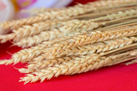 Téléchargez les photos : Portes de blé sur table rouge - en image libre de droit