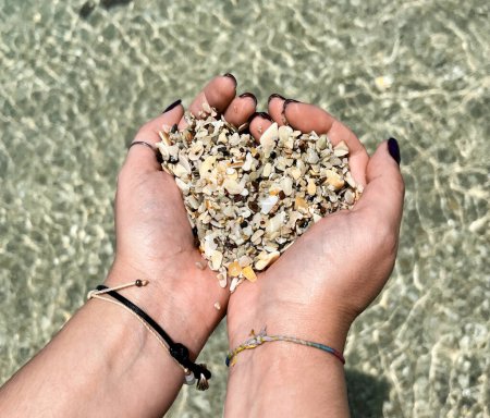 Foto de Manos en forma de corazón con conchas de Playa Conchal en Costa Rica. - Imagen libre de derechos