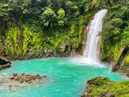Téléchargez les photos : Cascade majestueuse dans la jungle de la forêt tropicale du Costa Rica. Randonnée tropicale. - en image libre de droit