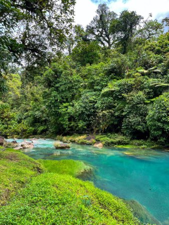Foto de Una vista del luminoso Río Celeste azul en Costa Rica - Imagen libre de derechos
