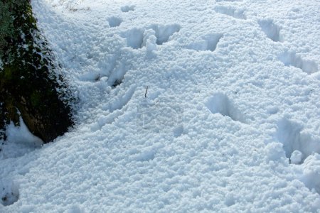 Téléchargez les photos : Texture de fond de neige fraîche. Fond hivernal avec flocons de neige et monticules de neige. Des boules de neige. Empreintes et traces. - en image libre de droit