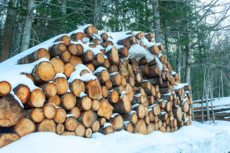 Foto de Troncos de madera cortados y apilados en las montañas bajo la nieve. - Imagen libre de derechos