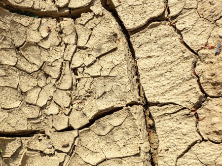 Téléchargez les photos : Gros plan de boue de crack séchée représentant le réchauffement climatique et le changement climatique. - en image libre de droit