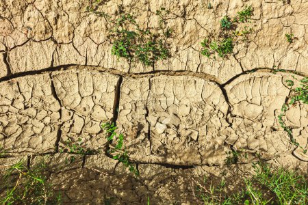 Photo for Closeup of dried crack mud representing global warming and climate change. - Royalty Free Image