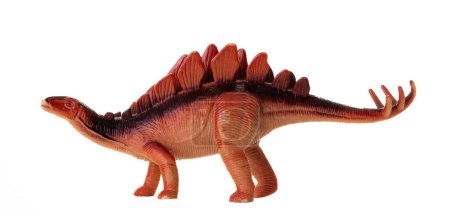 Photo for Realistic plastic model of a Stegosaurus dinosaur on white background. - Royalty Free Image
